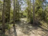 372 Mount Browne Road, Upper Orara, NSW 2450-Image