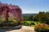 373 Faraday-Sutton Grange Road, Sutton Grange, Vic 3448-Image
