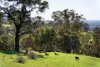 373 Faraday-Sutton Grange Road, Sutton Grange, Vic 3448-Image