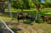 373 Kelvin Road, Orange Grove, WA 6109-Image