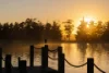 373 Tarra Valley Road, Devon North, Vic 3971-Image