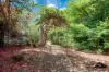 374 Chapman Road, Bluff Point, WA 6530-Image