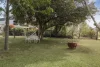 375-379 Boundary Street, Cotswold Hills, Qld 4350-Image