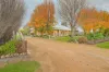 375 Gol Gol North Road, Gol Gol, NSW 2738-Image