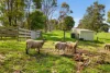 375 Holmes Road, Berrys Creek, Vic 3953-Image