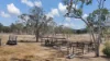 375 Pleystowe School Road, Greenmount, Qld 4751-Image