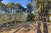 375 Tods Corner Road, Tods Corner, Tas 7030-Image