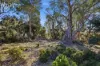 375 Tods Corner Road, Tods Corner, Tas 7030-Image