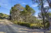 375 Tods Corner Road, Tods Corner, Tas 7030-Image
