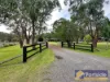 377 Lemon Tree Passage Road, Salt Ash, NSW 2318
