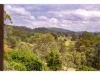 3779 The Bucketts Way, Krambach, NSW 2429-Image