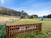 378 Liena Road, Mole Creek, Tas 7304