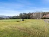 378 Liena Road, Mole Creek, Tas 7304-Image