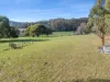 378 Liena Road, Mole Creek, Tas 7304-Image