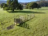 378 Liena Road, Mole Creek, Tas 7304-Image