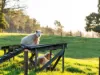 378 Liena Road, Mole Creek, Tas 7304-Image
