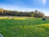 378 Liena Road, Mole Creek, Tas 7304-Image