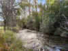 378 Liena Road, Mole Creek, Tas 7304-Image
