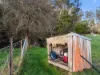 378 Liena Road, Mole Creek, Tas 7304-Image