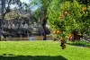 379 Old Cadell Road, Morgan, SA 5320-Image