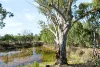 379 Old Cadell Road, Morgan, SA 5320-Image