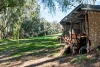 379 Old Cadell Road, Morgan, SA 5320-Image