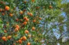 37A Bay Road, Claremont, WA 6010-Image