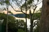 37A Belmore Road, Peakhurst, NSW 2210-Image