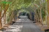 37A Bushey Road, Wembley Downs, WA 6019-Image