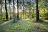38-40 Belgrave-Gembrook Road, Cockatoo, Vic 3781-Image