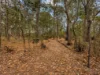 38-40 Bradman Street, New Beith, Qld 4124-Image