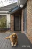 38-40 Ennismore Crescent, Park Orchards, Vic 3114-Image