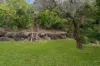 38-40 Jamieson Close, Gordonvale, Qld 4865-Image