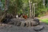 38-40 Jamieson Close, Gordonvale, Qld 4865-Image