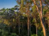 38-42 Karnu Drive, Valdora, Qld 4561-Image