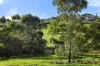 38 Albany Way, Seaford Rise, SA 5169-Image