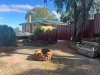 38 Ashley Drive, Kelmscott, WA 6111-Image