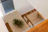 38 Augusta Road, Fairlight, NSW 2094-Image