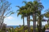 38 Augusta Road, Fairlight, NSW 2094-Image