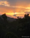 38 Barakula Court, Cedar Creek, Qld 4207-Image