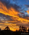 38 Barakula Court, Cedar Creek, Qld 4207-Image