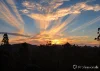 38 Barakula Court, Cedar Creek, Qld 4207-Image
