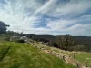 38  Billywillinga Road, Billywillinga, NSW 2795-Image