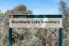 38 Branksome Grove, Blackburn South VIC 3130-Image