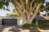 38 Browne Avenue, Dalkeith, WA 6009-Image