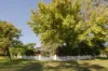 38 Browne Avenue, Dalkeith, WA 6009-Image