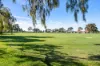 38 Buccleuch Avenue, Findon, SA 5023-Image