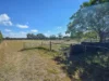 38 Byrne Close, Young, NSW 2594-Image