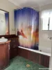 38 Canaipa Point Drive, Russell Island, Qld 4184-Image
