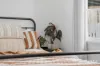 38 Carnegie Street, Claremont, Tas 7011-Image